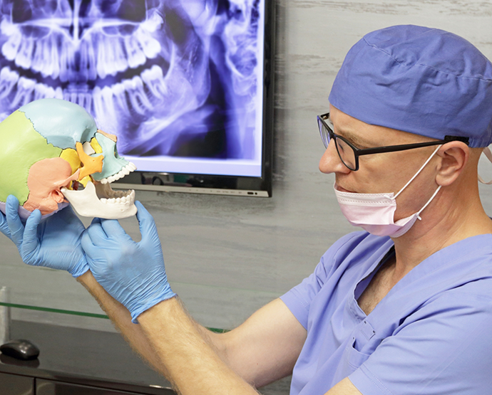 Dentist with mask looking at model of skull