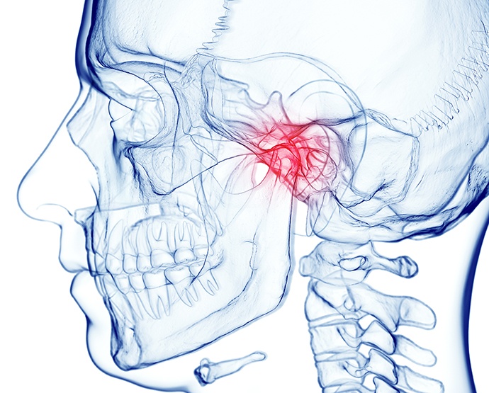 Illustration of the TMJ